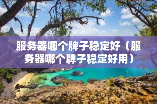 服务器哪个牌子稳定好（服务器哪个牌子稳定好用）