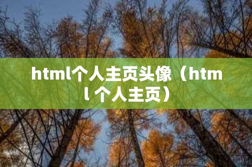 html个人主页头像（html 个人主页）