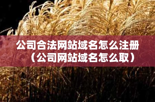 公司合法网站域名怎么注册（公司网站域名怎么取）