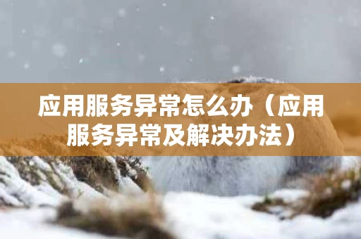 应用服务异常怎么办（应用服务异常及解决办法）