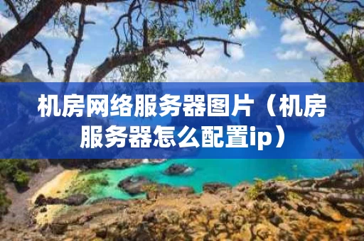 机房网络服务器图片（机房服务器怎么配置ip）