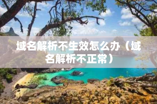 域名解析不生效怎么办（域名解析不正常）