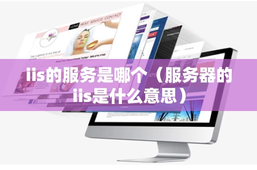 iis的服务是哪个（服务器的iis是什么意思）