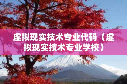 虚拟现实技术专业代码（虚拟现实技术专业学校）