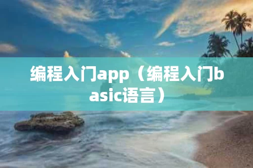 编程入门app（编程入门basic语言）