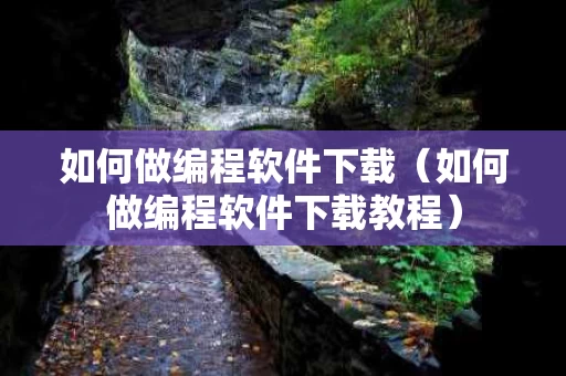 如何做编程软件下载（如何做编程软件下载教程）