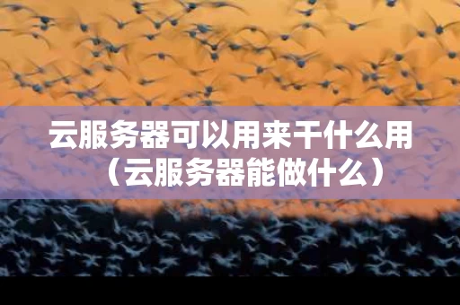 云服务器可以用来干什么用（云服务器能做什么）
