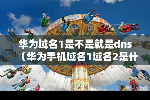 华为域名1是不是就是dns（华为手机域名1域名2是什么）