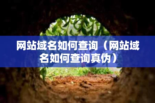 网站域名如何查询（网站域名如何查询真伪）