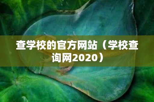 查学校的官方网站（学校查询网2020）