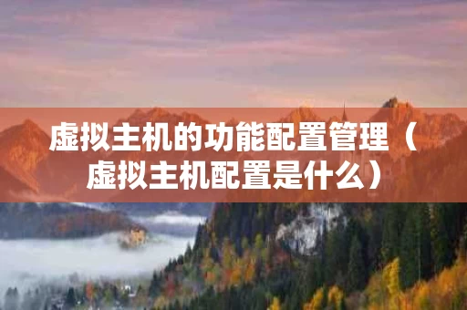 虚拟主机的功能配置管理（虚拟主机配置是什么）