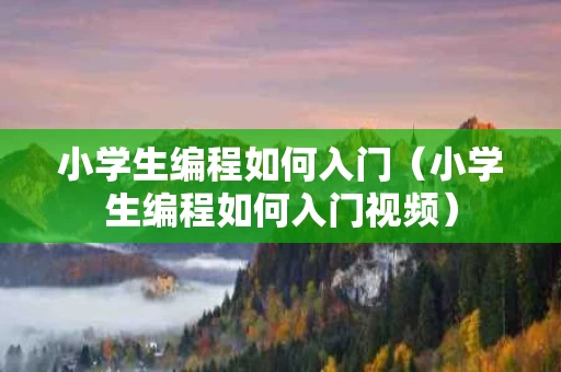 小学生编程如何入门（小学生编程如何入门视频）