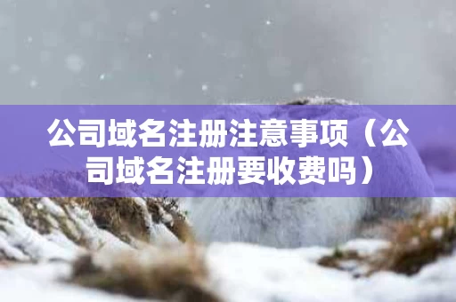 公司域名注册注意事项（公司域名注册要收费吗）
