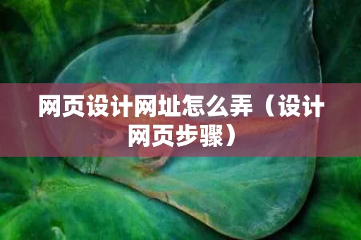 网页设计网址怎么弄（设计网页步骤）