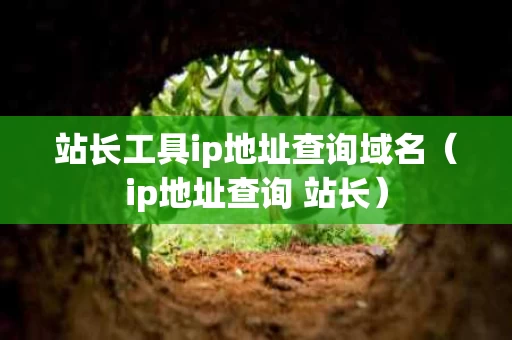 站长工具ip地址查询域名（ip地址查询 站长）