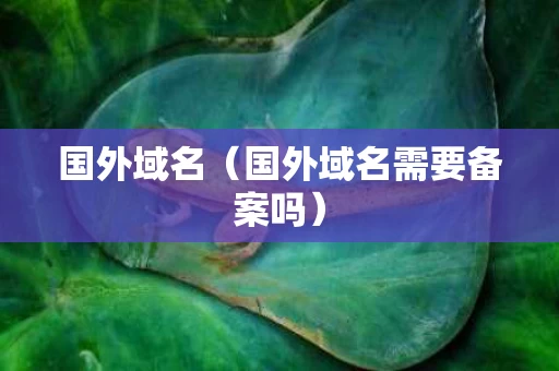国外域名（国外域名需要备案吗）