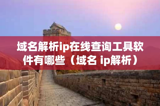 域名解析ip在线查询工具软件有哪些（域名 ip解析）
