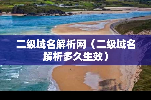 二级域名解析网（二级域名解析多久生效）