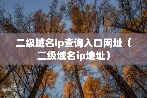 二级域名ip查询入口网址（二级域名ip地址）
