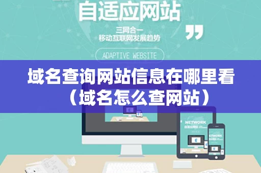 域名查询网站信息在哪里看（域名怎么查网站）