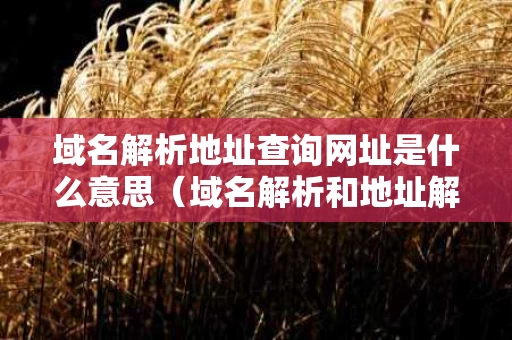 域名解析地址查询网址是什么意思（域名解析和地址解析）