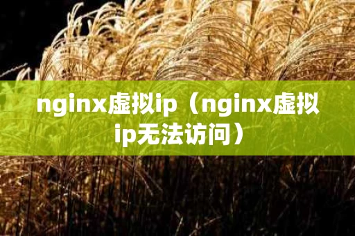 nginx虚拟ip（nginx虚拟ip无法访问）