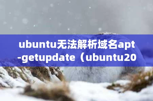 ubuntu无法解析域名apt-getupdate（ubuntu2004无法解析域名）