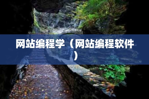 网站编程学（网站编程软件）