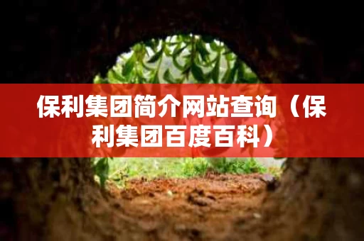 保利集团简介网站查询（保利集团百度百科）