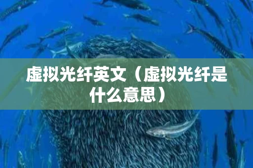 虚拟光纤英文（虚拟光纤是什么意思）