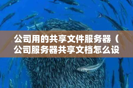 公司用的共享文件服务器（公司服务器共享文档怎么设置）