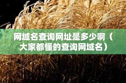 网域名查询网址是多少啊（大家都懂的查询网域名）