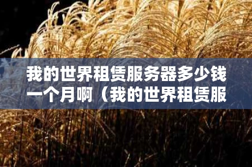 我的世界租赁服务器多少钱一个月啊（我的世界租赁服务器多少钱一个月啊）