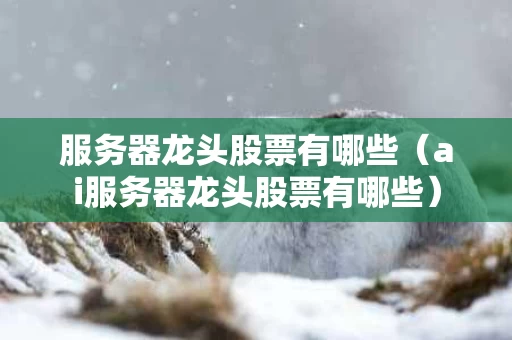 服务器龙头股票有哪些（ai服务器龙头股票有哪些）