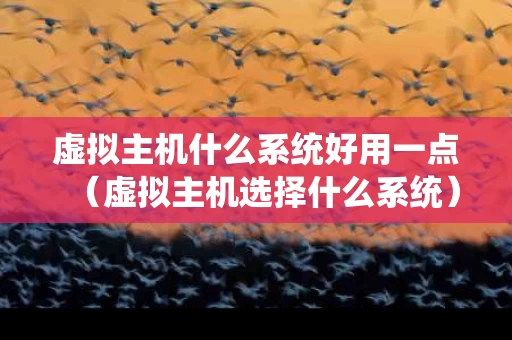 虚拟主机什么系统好用一点（虚拟主机选择什么系统）