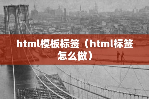 html模板标签（html标签怎么做）