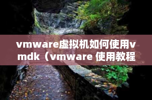 vmware虚拟机如何使用vmdk（vmware 使用教程）