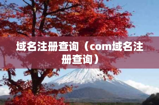 域名注册查询（com域名注册查询）