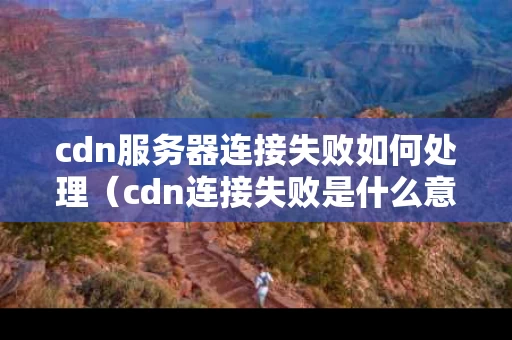 cdn服务器连接失败如何处理（cdn连接失败是什么意思）