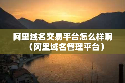 阿里域名交易平台怎么样啊（阿里域名管理平台）