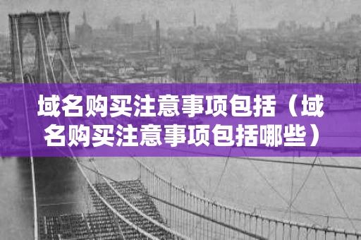 域名购买注意事项包括（域名购买注意事项包括哪些）