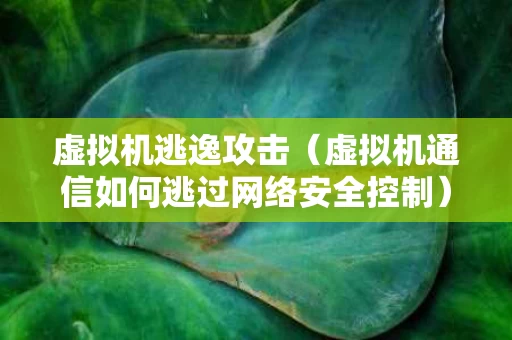 虚拟机逃逸攻击（虚拟机通信如何逃过网络安全控制）
