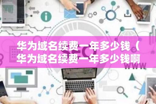 华为域名续费一年多少钱（华为域名续费一年多少钱啊）