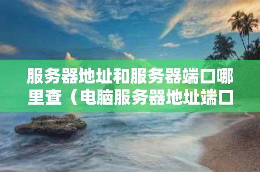 服务器地址和服务器端口哪里查（电脑服务器地址端口在哪里看）