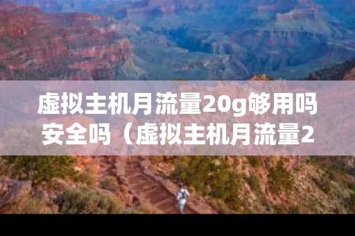 虚拟主机月流量20g够用吗安全吗（虚拟主机月流量20g能承受多少访客）
