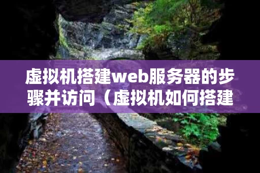 虚拟机搭建web服务器的步骤并访问（虚拟机如何搭建网站）