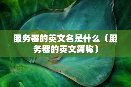 服务器的英文名是什么（服务器的英文简称）