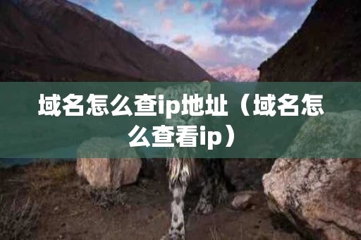 域名怎么查ip地址（域名怎么查看ip）