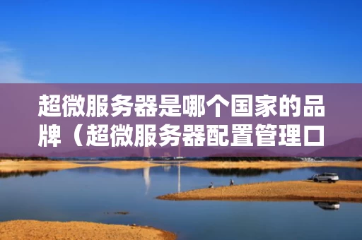 超微服务器是哪个国家的品牌（超微服务器配置管理口）
