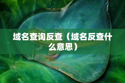 域名查询反查（域名反查什么意思）
